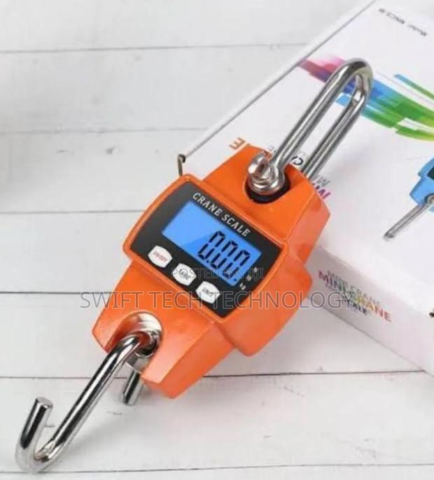 Mini Crane Scales 300 KGS - main view