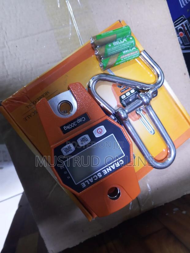Quality Mini Crane Scale/Hanging Crane Scale - main view