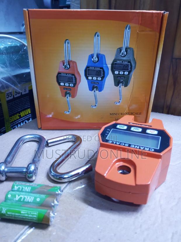 Digital Mini Crane Scale - main view
