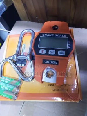 Affordable Mini Crane Scale