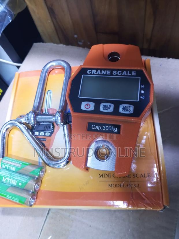 Affordable Mini Crane Scale - main view