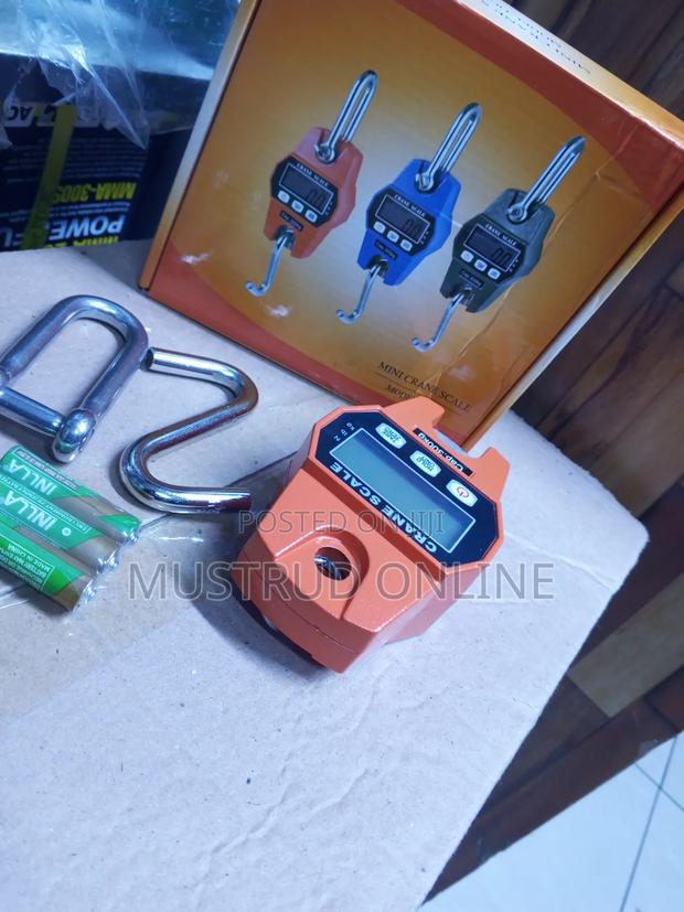 300kgs Digital Mini Crane Scale - main view