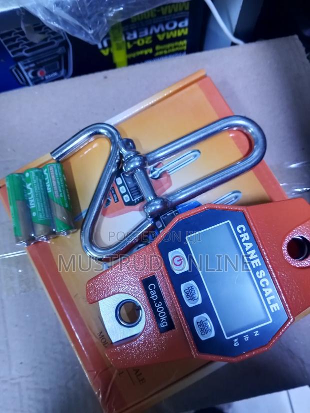 Portable Mini Crane Scale - main view