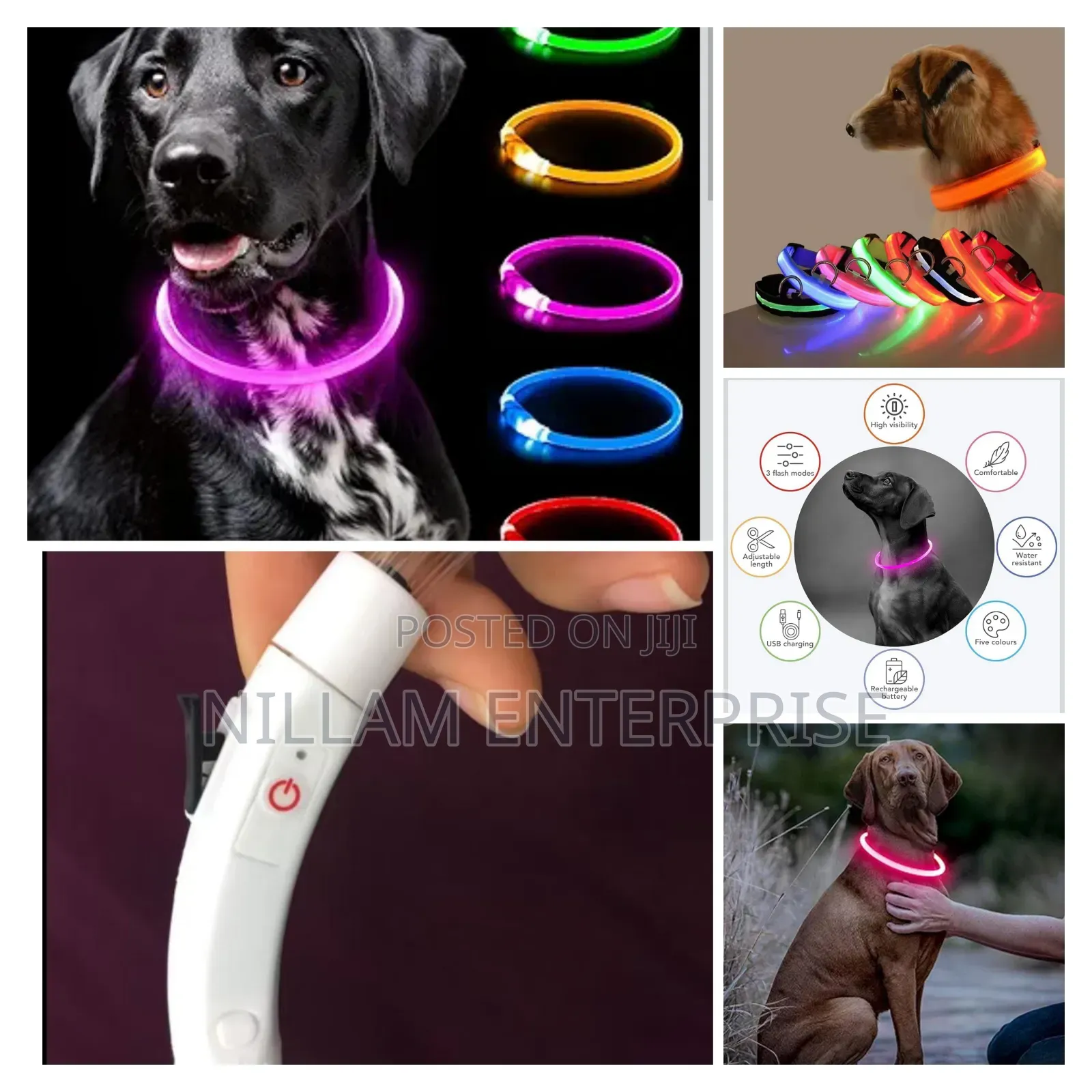Rechargeable Light Up Pets Collars