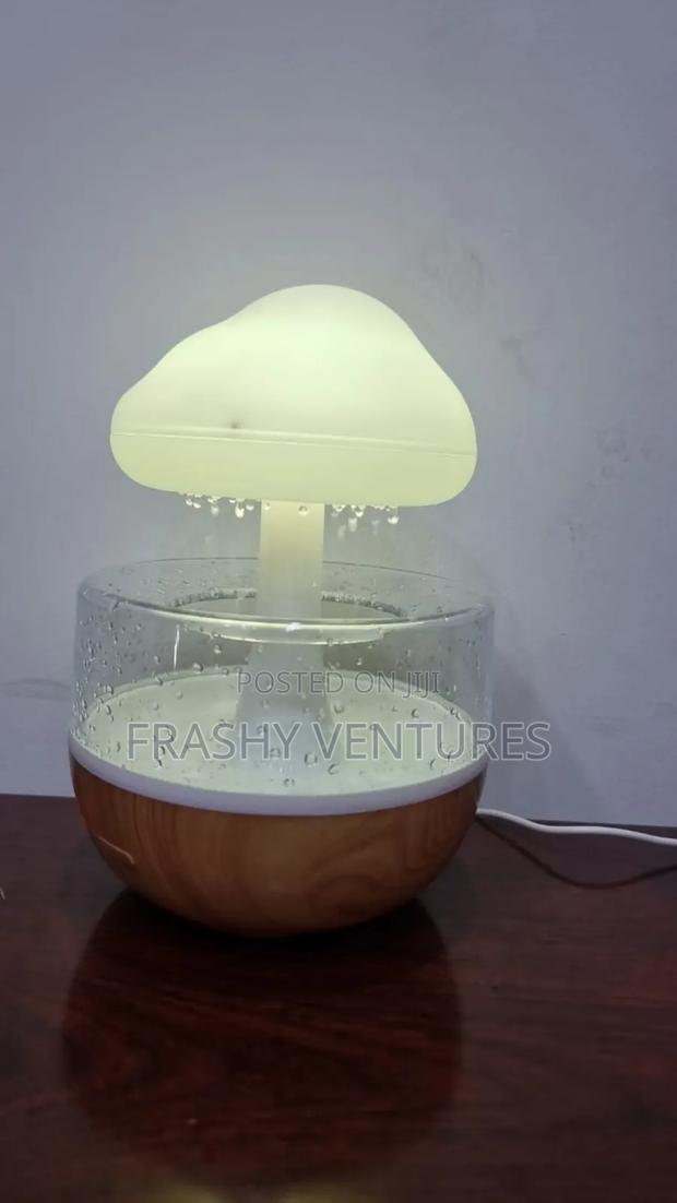 Cloud Rain Humidifier