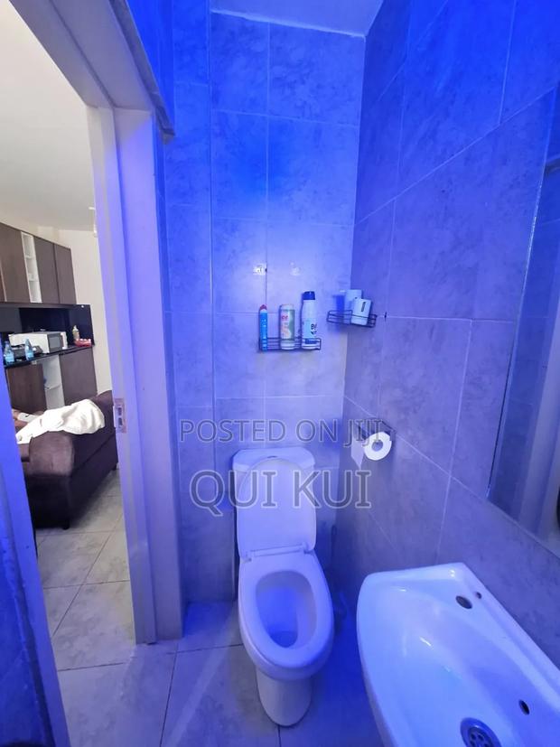 Cozy Studio, Thindigua Kiambu Road - thumbnail 7
