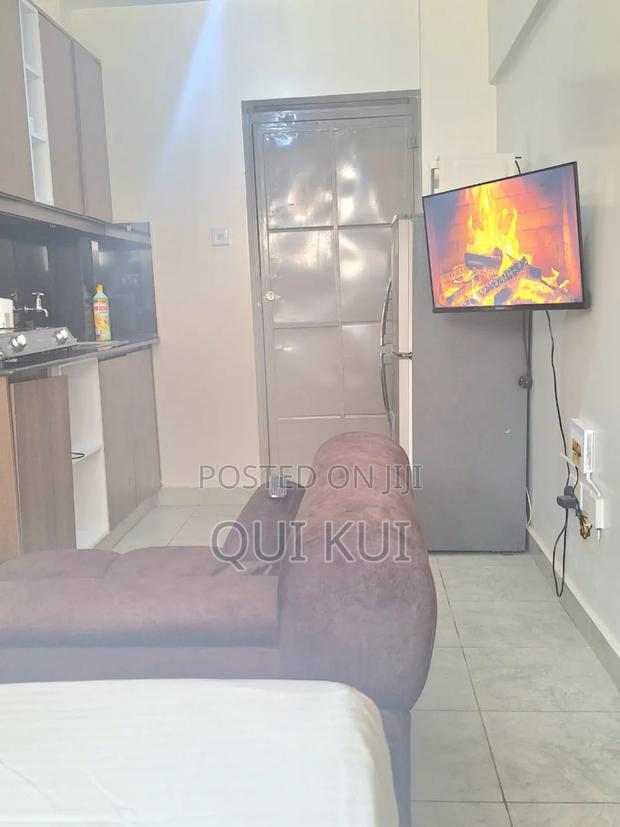 Cozy Studio, Thindigua Kiambu Road - thumbnail 8