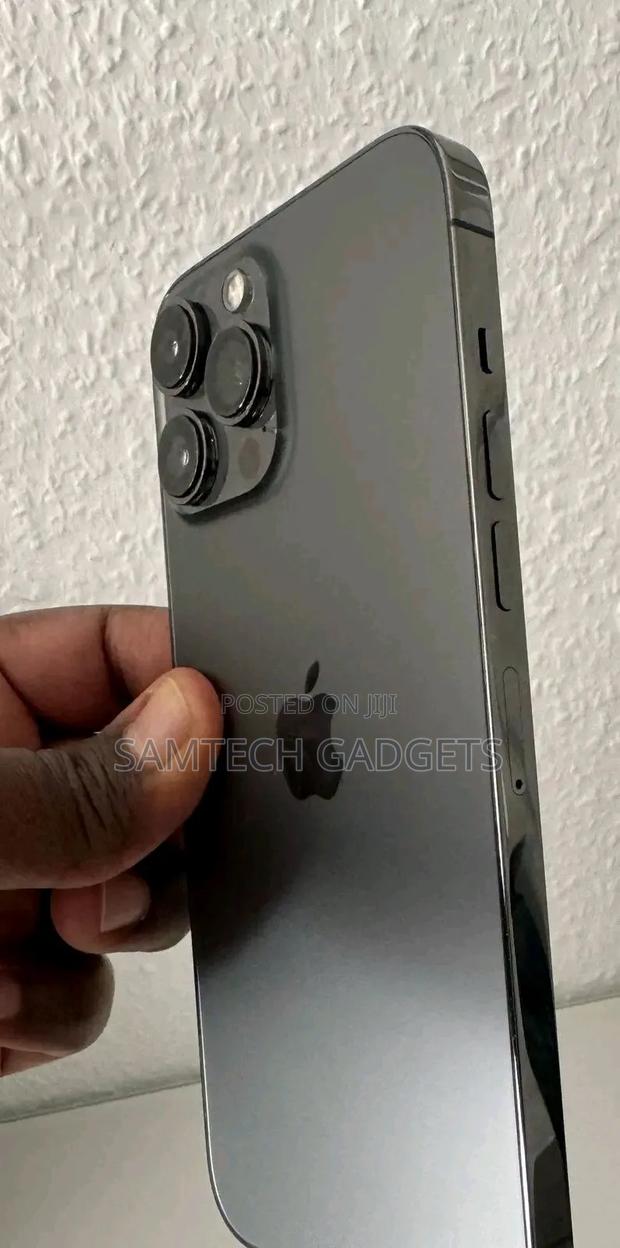 Apple iPhone 13 Pro Max 256 GB Gray - thumbnail 3