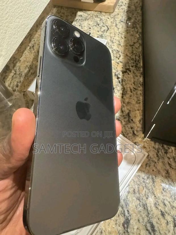 Apple iPhone 13 Pro Max 256 GB Gray - thumbnail 4