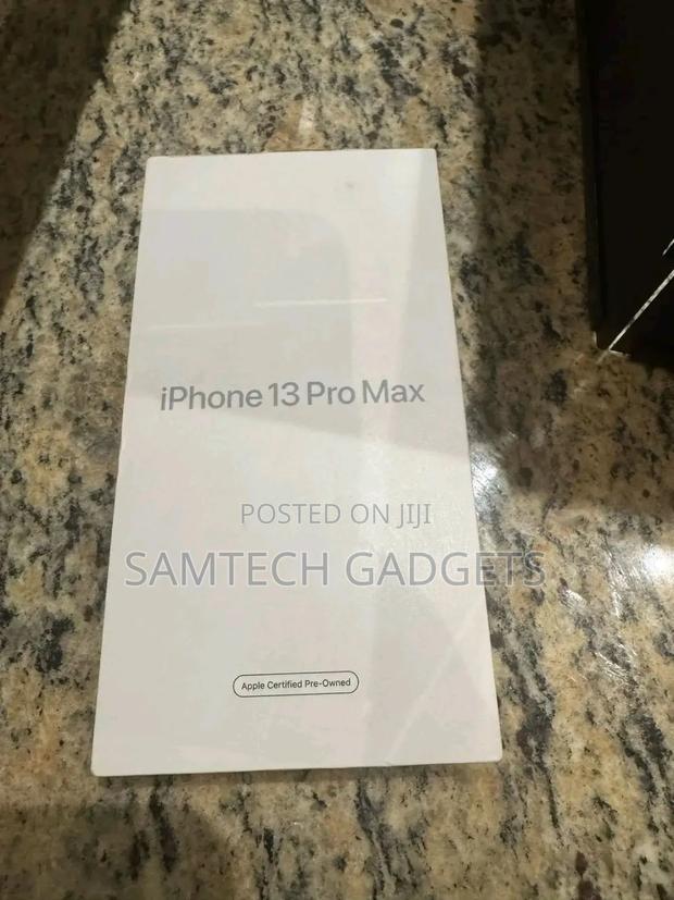 Apple iPhone 13 Pro Max 256 GB Gray - thumbnail 5