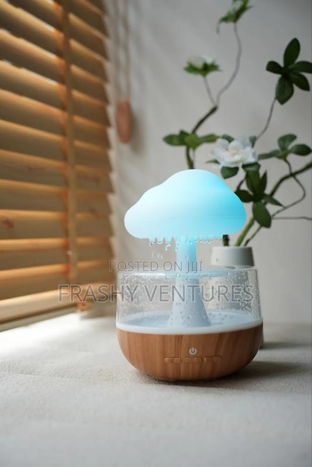 Unique Cloud Rain Humidifier
