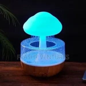 Home Decor Cloud Rain Humidifier