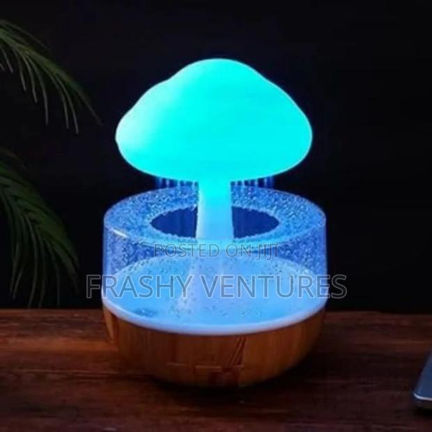 Home Decor Cloud Rain Humidifier