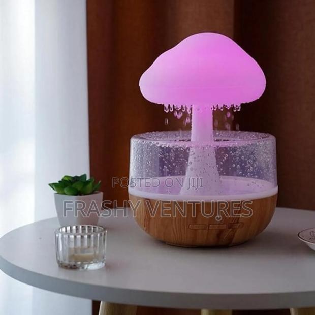 Air Cloud Rain Humidifier.. - main view