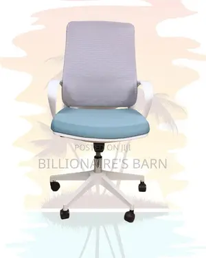 White Ergonomic Mesh Office Chair (Orthopedic) — Fast Seller