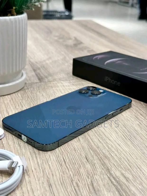 New Apple iPhone 13 Pro Max 256 GB Blue - thumbnail 4