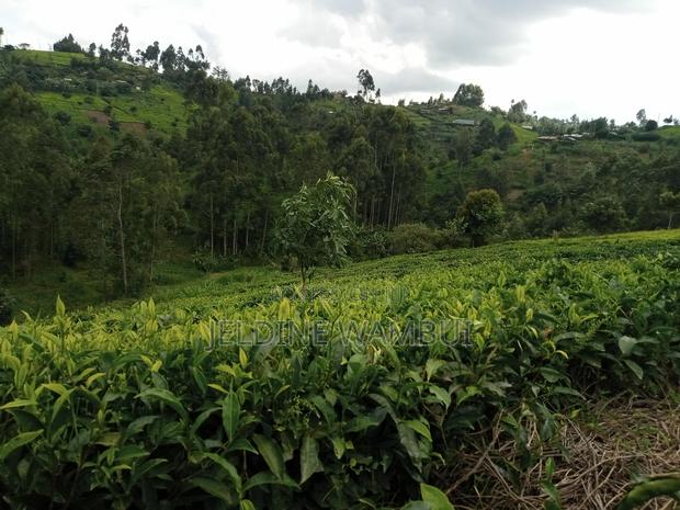 2 Acres Tea Farm in Githobokoni Ward, Gatundu North.
