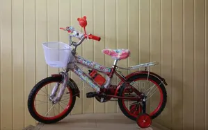 Kids Bike Size 16