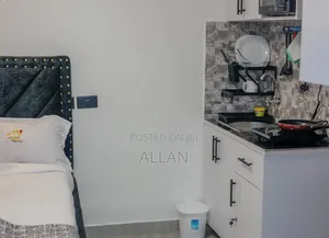 Budget Studios Airbnbs Nakuru