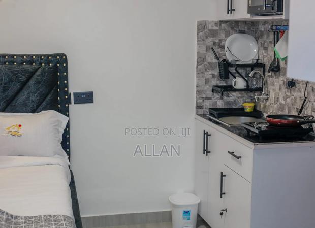 Budget Studios Airbnbs Nakuru - thumbnail 3
