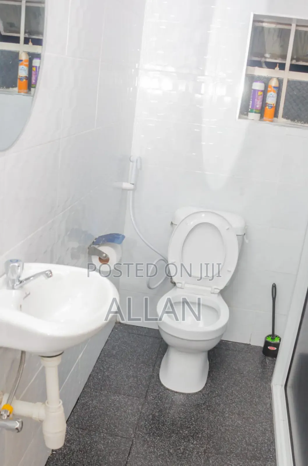 Budget Studios Airbnbs Nakuru