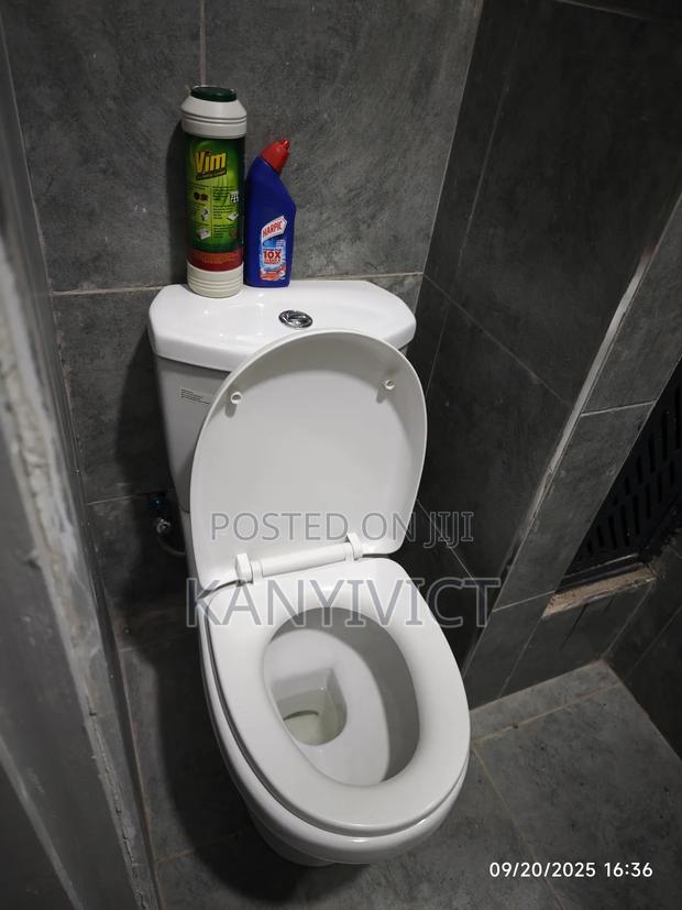 Kiambu Tsavo Stanley BNB - thumbnail 9