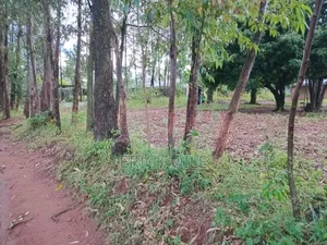 Land for Sale 50x100 Kasere Kamagambo/ Koluoch Rongo