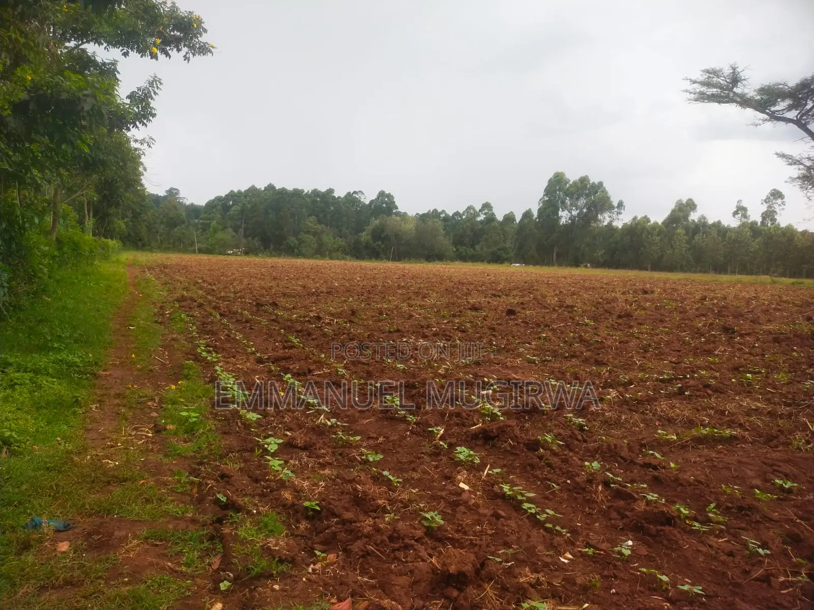 10 Acres Prime Land for Sale in Kitale