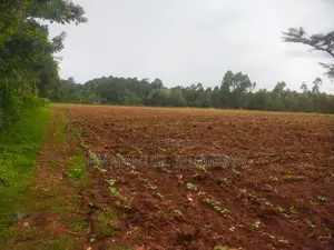 10 Acres Prime Land for Sale in Kitale