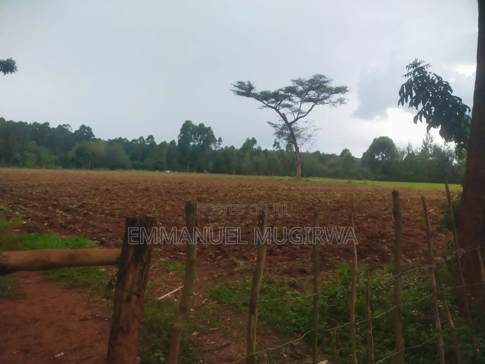 10 Acres Prime Land for Sale in Kitale