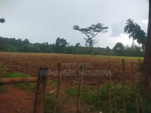 10 Acres Prime Land for Sale in Kitale