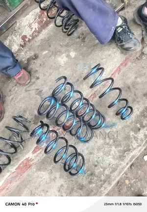 Nissan Atlas Heavy Duty Coil Spring 2000 Each