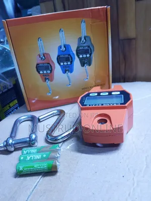 Mini Crane Scale
