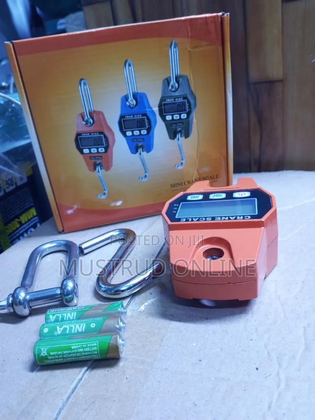 Mini Crane Scale - main view