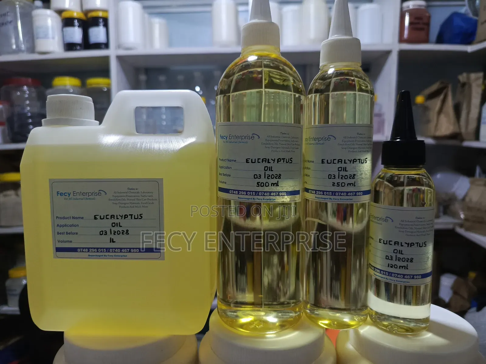 Eucalyptus Oil (100% Natural Cold Pressed Oil)