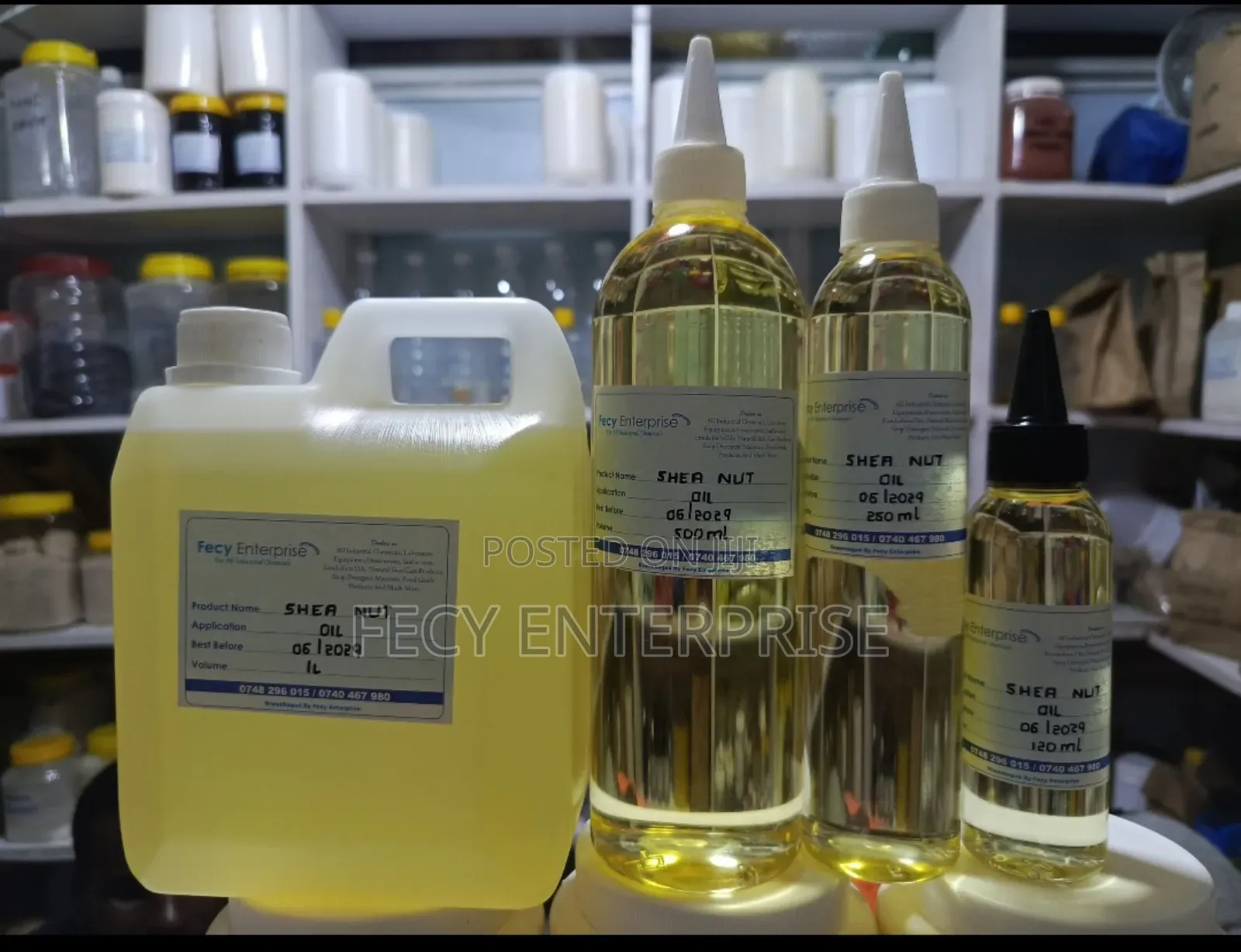 Shea Nuts Oil – (100% Natural Cold-Pressed) Pure Organic Carrier Oil
