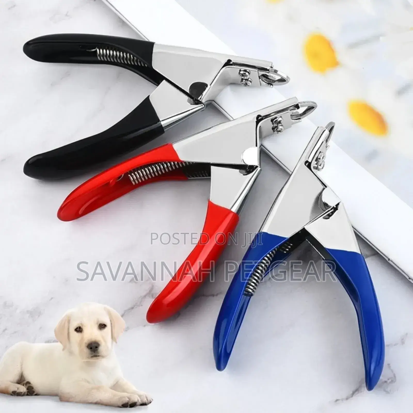 Professional Stainless Steel Pet Nail Clippers for Cats and Dogs