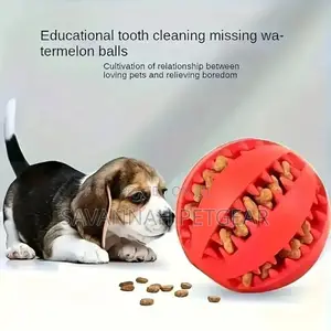 Chew Toy Ball Made of Natural Rubber for Cats and Dogs - Large Size