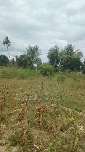 4acres Land on Sale at Rabai Subcounty Area Bwagamoyo Kilifi County