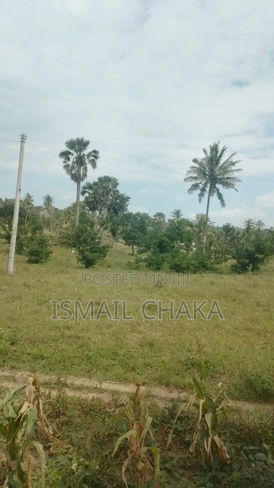 4acres Land on Sale at Rabai Subcounty Area Bwagamoyo Kilifi County