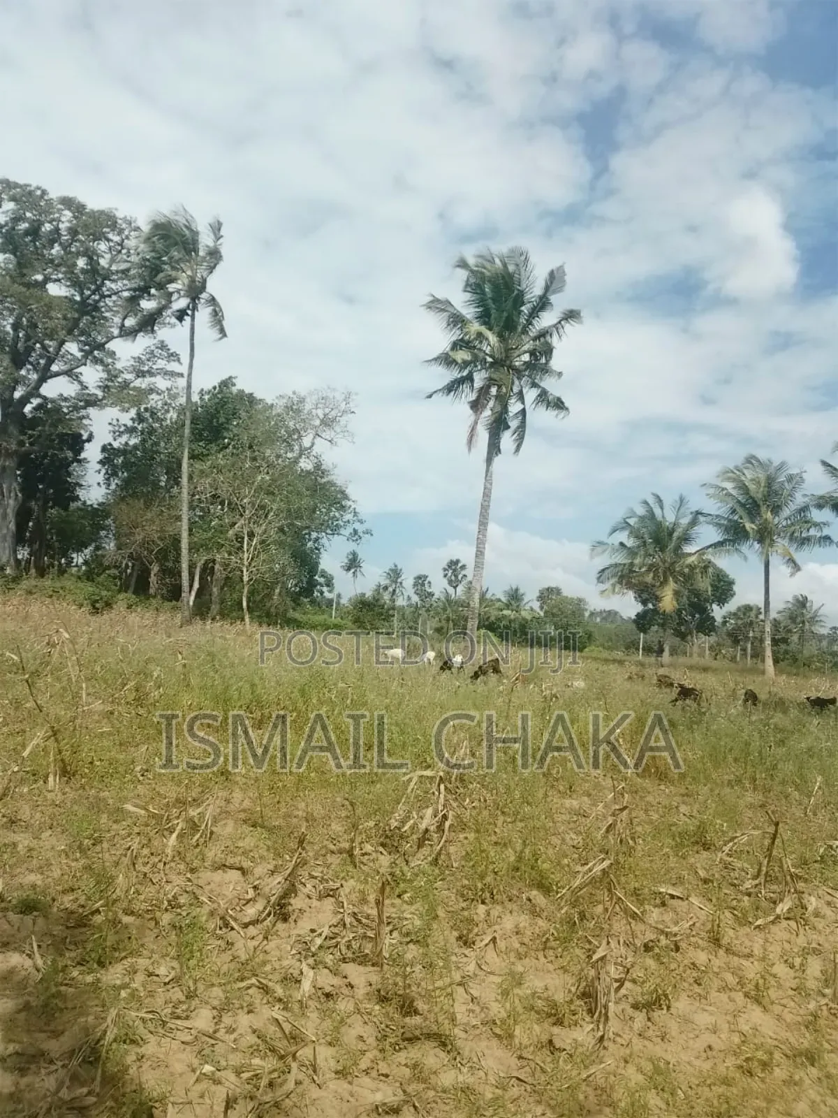 4acres Land on Sale at Rabai Subcounty Area Bwagamoyo Kilifi County