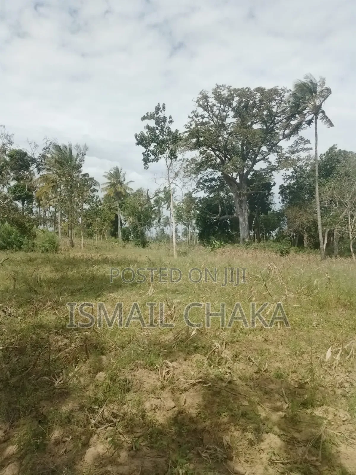 4acres Land on Sale at Rabai Subcounty Area Bwagamoyo Kilifi County