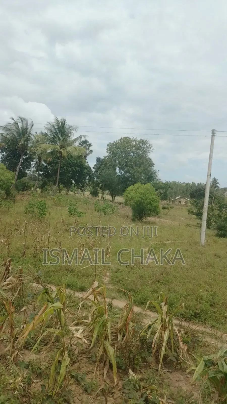 4acres Land on Sale at Rabai Subcounty Area Bwagamoyo Kilifi County