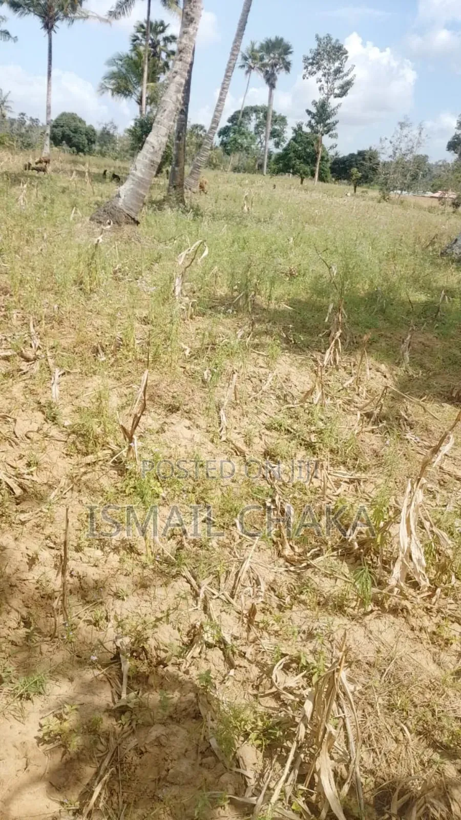4acres Land on Sale at Rabai Subcounty Area Bwagamoyo Kilifi County