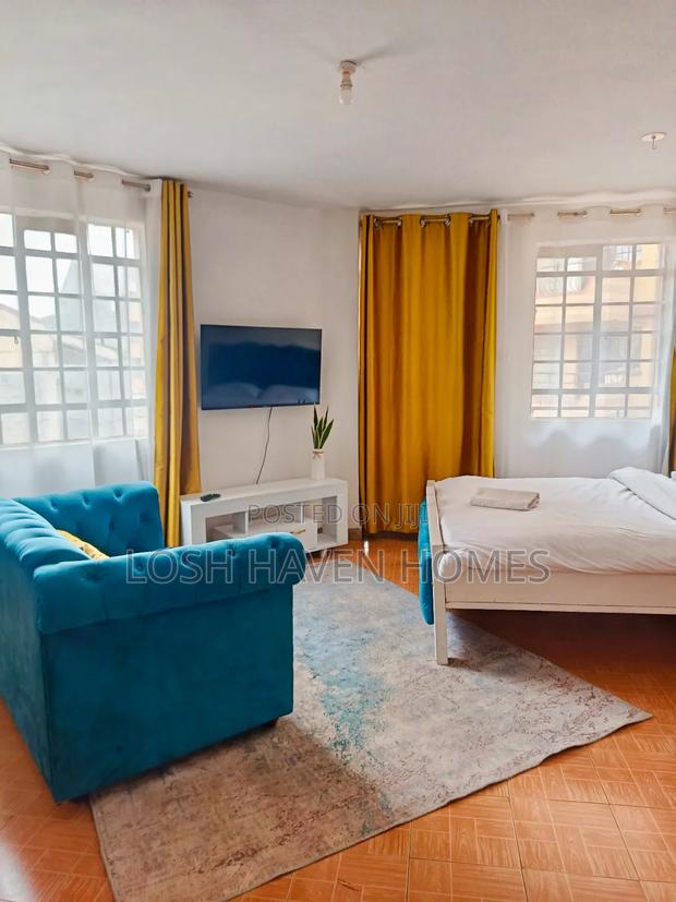 Modern Furnished Studio BNB Along Thika Road Roysambu TRM W - main view