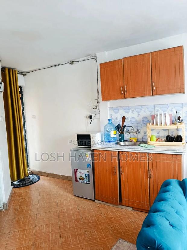 Modern Furnished Studio BNB Along Thika Road Roysambu TRM W - thumbnail 8