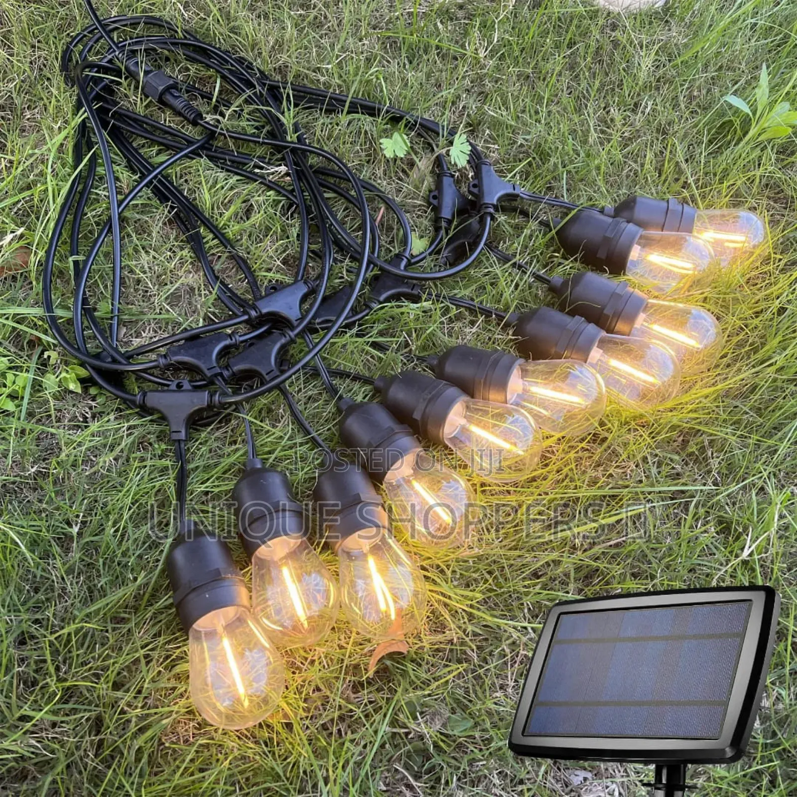 Quality Solar String Lights