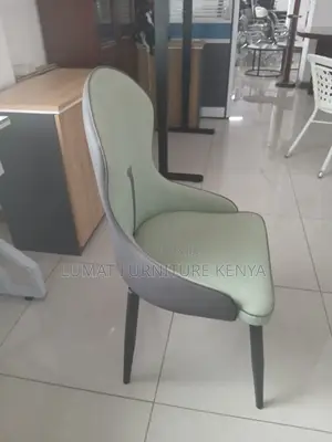 Modern Dinning Chair