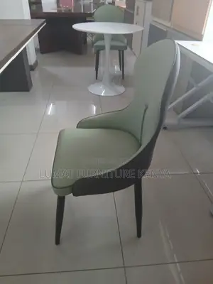 Modern Dinning Chair