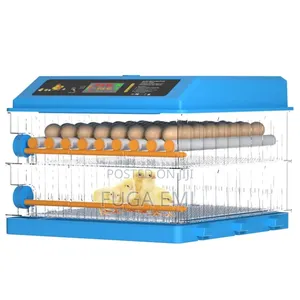 Ac/Dc Automatic Egg Incubator 128 Eggs